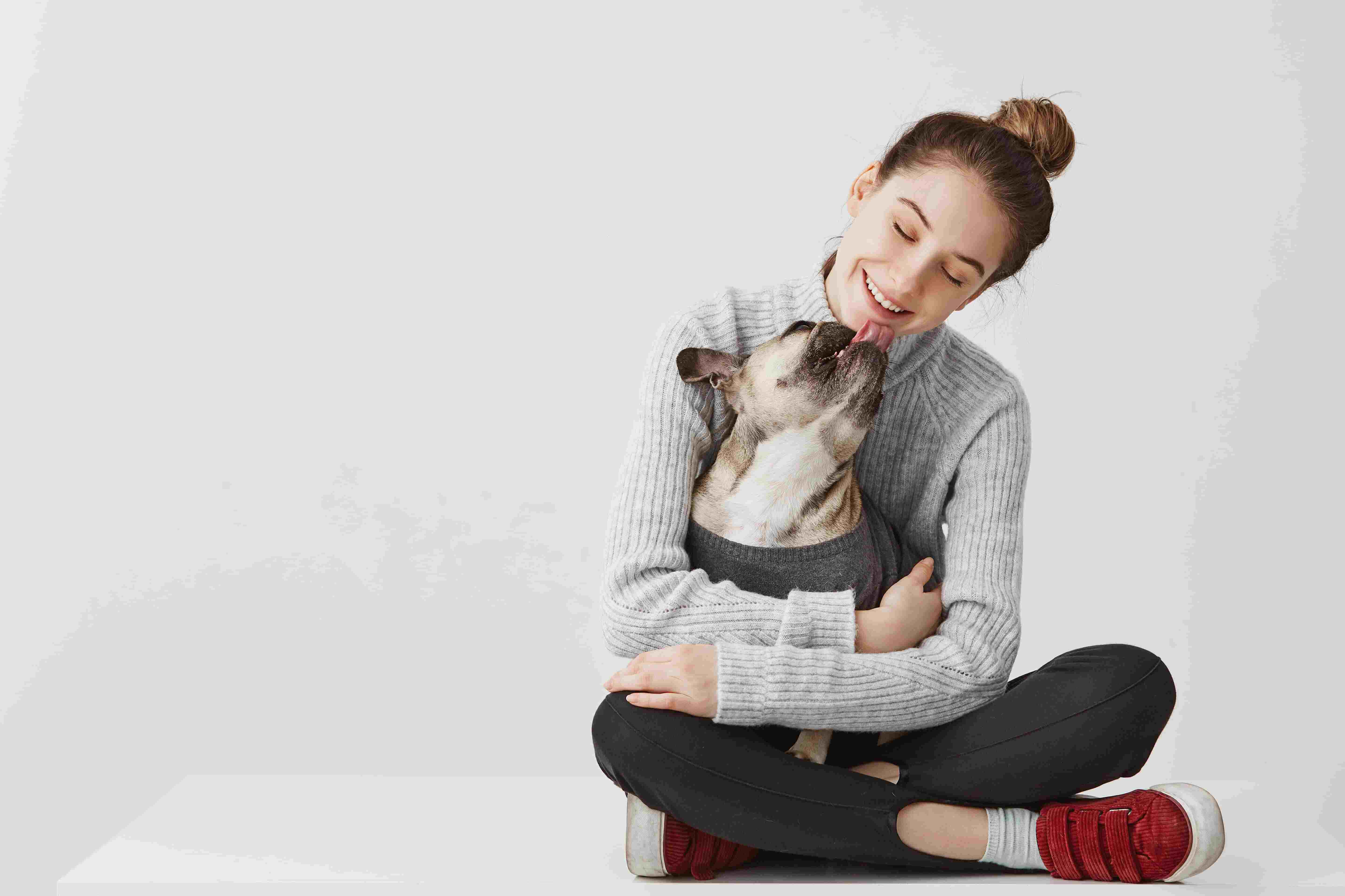 Person holding a small dog